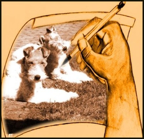 Image Hosted by PicturePush - Photo Sharing