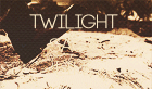 twilight saga life