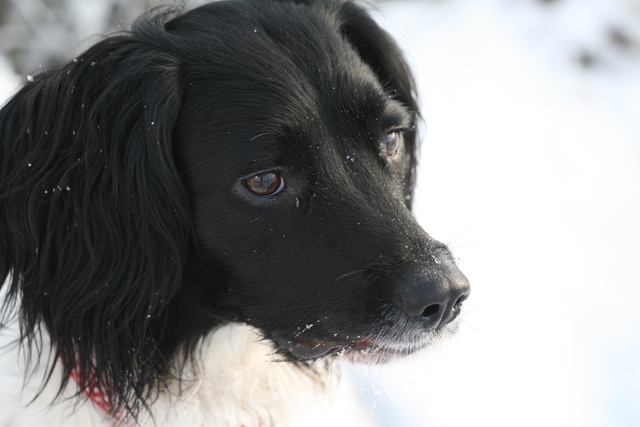 IMG-3966.jpg