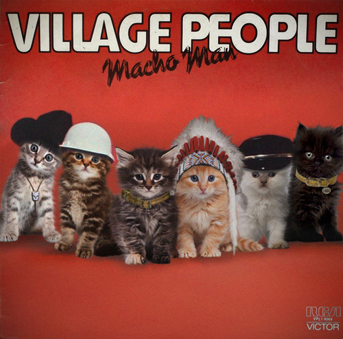 Image result for cats dressed as the Village People