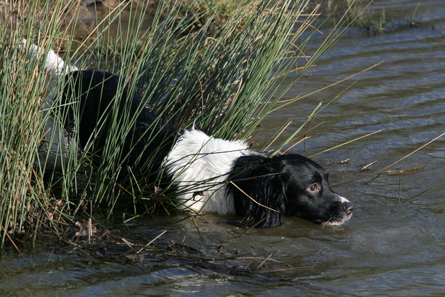 IMG-4255.jpg