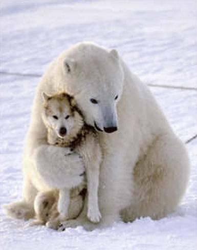 big-hug-.jpg