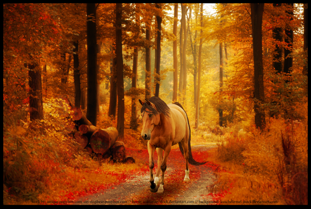 Image Hosted by PicturePush