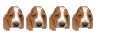 Top dog Top dog