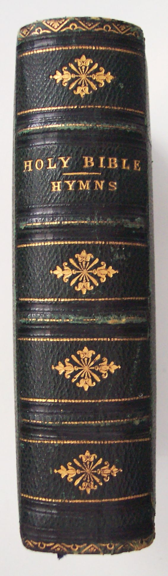 Bible Spine