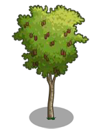 5408662 FarmVille Downy Birch ve Silver Birch Tree Yayınlandı 