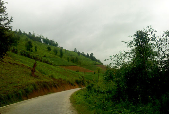Image Hosted by PicturePush - Photo Sharing