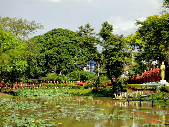 Image Hosted by PicturePush - Photo Sharing