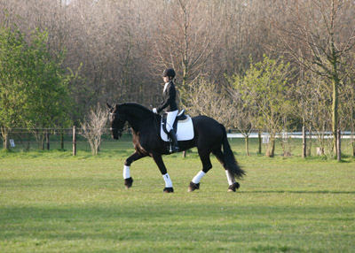 Afbeelding