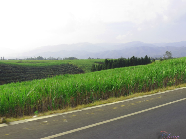 Image Hosted by PicturePush - Photo Sharing