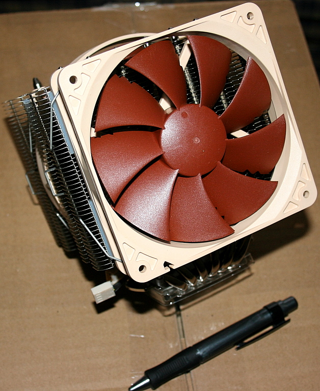 7516442.jpg