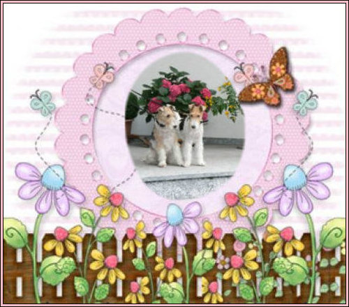 Image Hosted by PicturePush - Photo Sharing