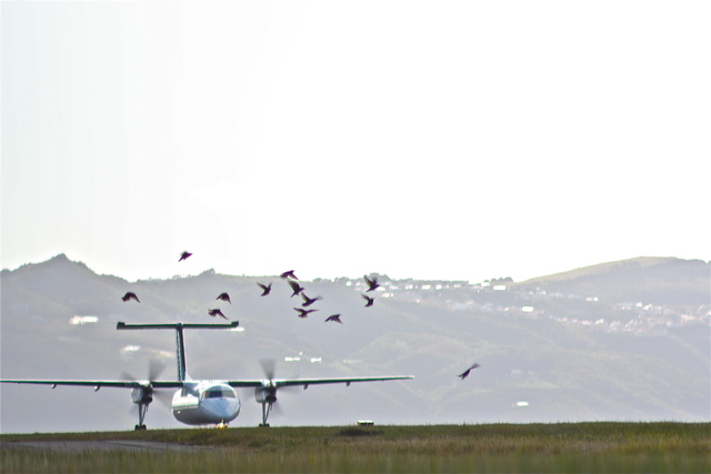 IMAGE: http://www4.picturepush.com/photo/a/8627047/640/8627047.jpg