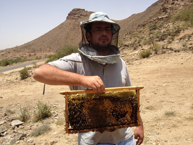 موسم الصيف بعسير - منتدى أبو فراس الحافظ تخصصي في تربية النحل