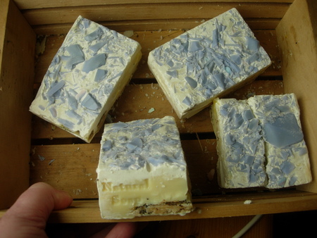 DSCN5160.jpg